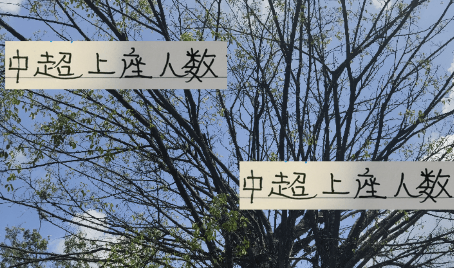 中超历史上, 连主场极限, 相关的